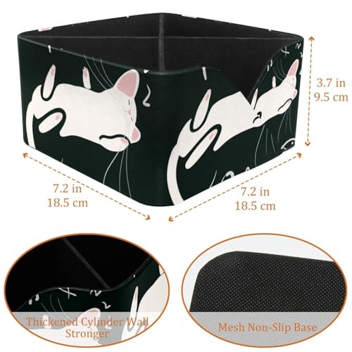 Boîte de rangement Lazy Cat rectangulaire compartimentée pour outils - 4
