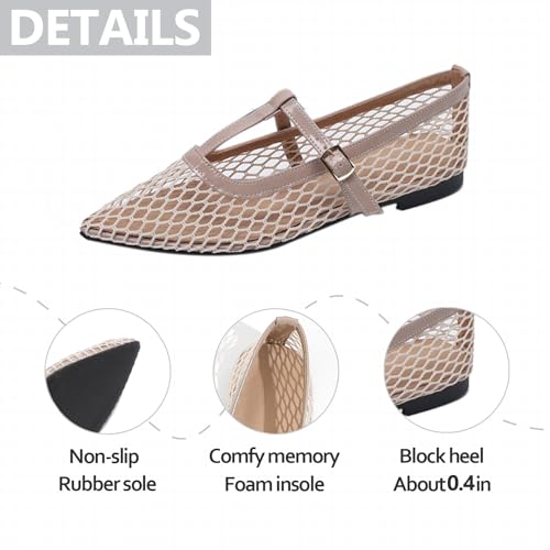 Womens Fishnet Pointed Toe T-Strap Ballet Flats Comfortable Lightweight Mesh Adjustable Ankle Strap Buckle Mary Janes for Casual Daily Office3