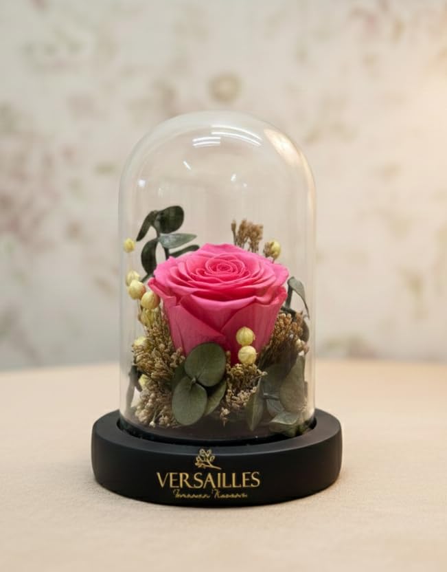 Versailles Preserved Rose in Glass Dome, Pink, Home Decor and Interior Decoration, 230 Grams-image-30