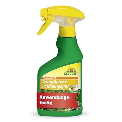 Neudorff Promanal AF Grünpflanzen Schädlingsfrei 250ml - Schildläuse bekämpfen an Ficus, Palmen und Zimmerpflanzen Schädlingsbekämpfung - Spinnmilben Spray für Grünpflanzen Mittel gegen Blattläuse
