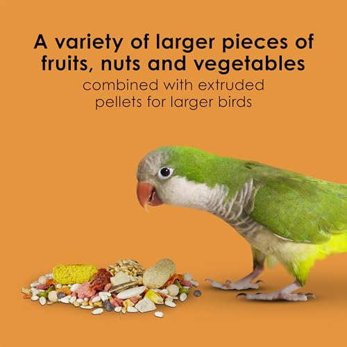 Kaytee Fiesta Big Bites Small Parrot & Conure Bird Food, 4 Pounds - image 4