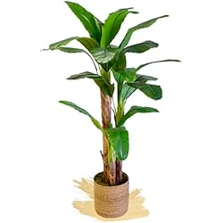 Maia Shop Platanera Artificial de 180 cm de Altura para Decoración de Hogar y Oficina, Árbol, Planta Artificial Decorativa Hiperrealista con Tronco Natural
