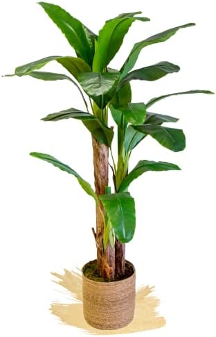 Artificial Banana Tree, Made with The Best Materials, Ideal for Home Decoration, Artificial Plant 6 feet Tall - 71 inches