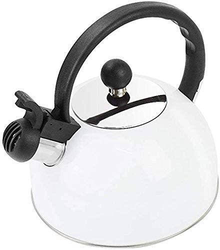 Pfeifkessel für Induktionskochfeld, Edelstahlherd 2L Campingkocher Wasser Gas Teekanne Kochutensilien