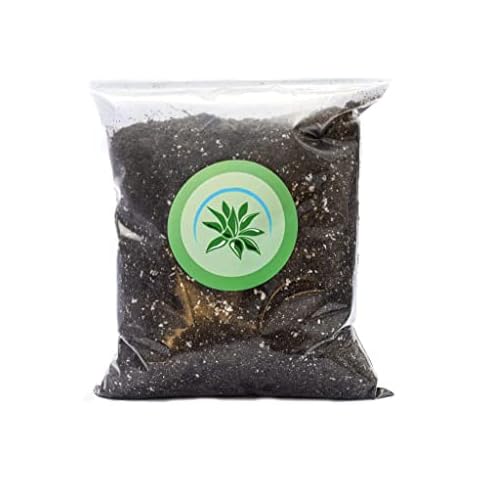 Succulent Soil (4 Quarts) (1 Gallon) – Succulent Potting Soil – Succulent Potting Mix – Potting Soil for Succulent - Succulent Market Cover