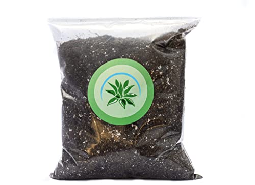 SUCCULENTMARKET.COM Succulent Soil