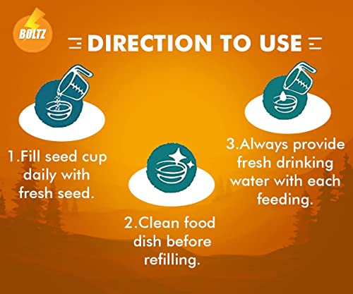 Boltz-Bird-Food-for-Sparrow-Finches-Pigeon-All-Wild-Birds-of-All-Life-Stages-Mix-Seeds-1-KG