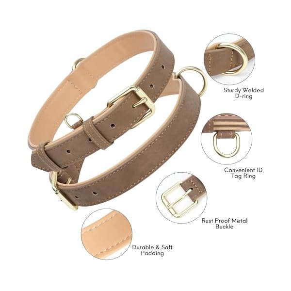 Leather Dog Collar for Small Medium Large Dogs, Soft Padded Dog Leather Collar with Heavy Duty Gold Buckle, Durable & Comfortable for Small Dogs Daily Walking (Light Brown, S) - Image 3