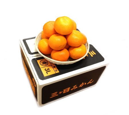 O ÉY 8s 2L`4L Gi`Di Ei탊[ Iʕi n ݂