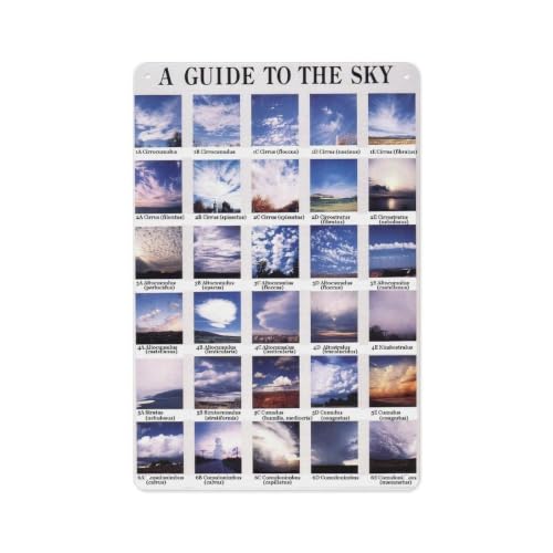 Metal Weather Cloud Guide Plate 12x8 Inch | Printed cloud atlas reference for classroom studio break room wall