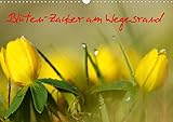 winterling keramik rot 14 Seiten bestehend aus 1 Coverbild | 12 Monatsbilder | 1 Indexseite. Inklusive Papprücken hinten und vorderseitig einer Klarsichtfolie.
