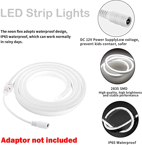 Dosyu Led Neon Light Strip, White 12V 16.4Ft/5M Waterproof Flexible Neon Lights, Silicone Rope Light For Kitchen Bedroom Indoor Outdoor Decor (Power Adapter Not Included) #TOP3