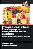 Edizioni Sapienza