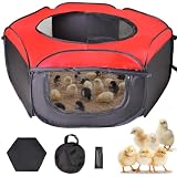 Tetuga Brooder Box Starter Kit