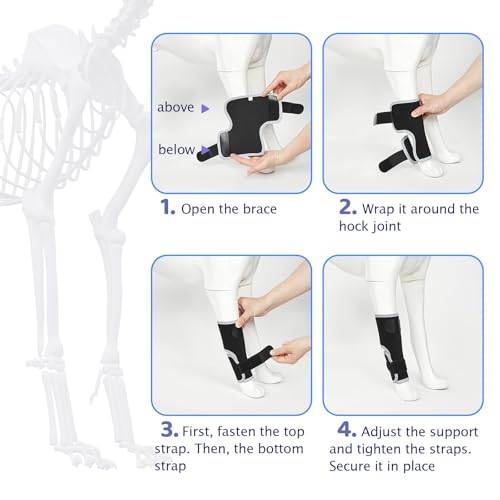 Image of Dog Front Leg Brace - Hock Joint Compression Wrap Providing Stability XL