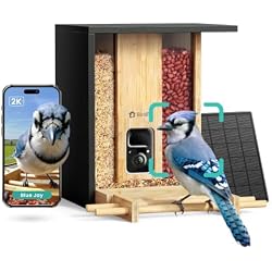 NETVUE by Birdfy Bamboo Bird Feeder with Camera Solar Powered,2K Live Stream&Lifetime AI Bird Identification&Motion Detection,birdswatching Ideal Bird Feeder Gift for Moms and Bird Lovers