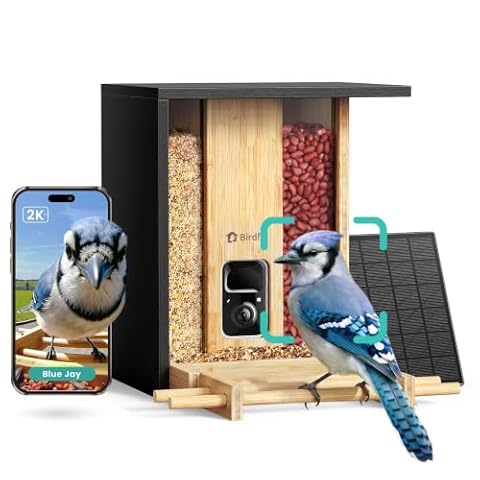 Birdfy NETVUE by Birdfy Bamboo Bird Feeder with Camera Solar Powered 2K Live View — $249.99 (17% off)