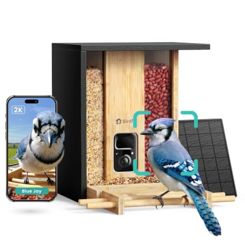 NETVUE by Birdfy Bamboo Bird Feeder with Camera Solar Powered,2K Live Stream&Lifetime AI Bird Identification&Motion Detection,birdswatching Ideal Bird Feeder Gift for Moms and Bird Lovers