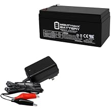 Mighty Max Battery 12V 3AH Replaces Baxter Healthcare A212/13.2S + 12V 1Amp Charger