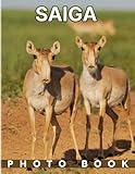 saiga antelopes  Saiga Photobook: Wildlife Animal Portrait Picture Book to Decoration Living Room, Bedroom, Office  40 Picture Pages for Kids, Teens  Anxiety Relief  Birthday  Creatives