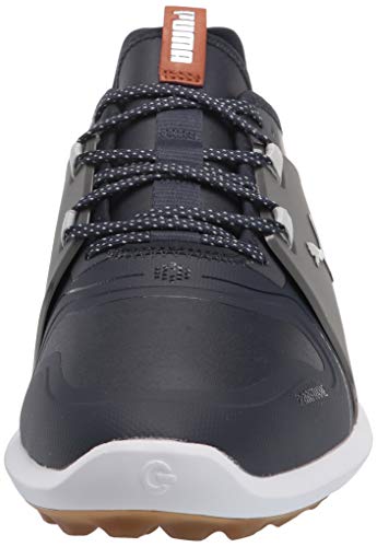 Puma Men's Ignite Fasten8 Pro Golf Shoe, Navy Blazer Silver-Quiet Shade, 10.5 #TOP1