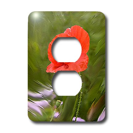 Champ coquelicot déco de salon champêtre avec la plaque double prise 3dRose