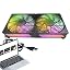 Black color light double fan