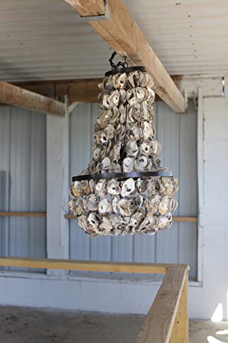 Creative Co-Op Oyster Shell Chandelier; Coastal Seaside Chandelier With Metal Frame Tiered Sea Shell Chandelier #TOP1