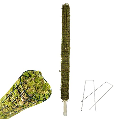 Moss Pole gör-det-själv mossstav av metall för monstera växtstång, spaljé, växtstöd med mossa för klätterväxter, inomhusväxter, krukväxter
