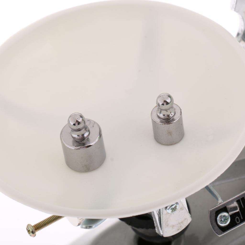100 Gram Table Balance Scale with 5g, 10g, 20g, 50g Weights School Physics Teaching Tool Lab Supplies-image-15