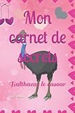 Mon carnet de secrets: Balthazar le casoar