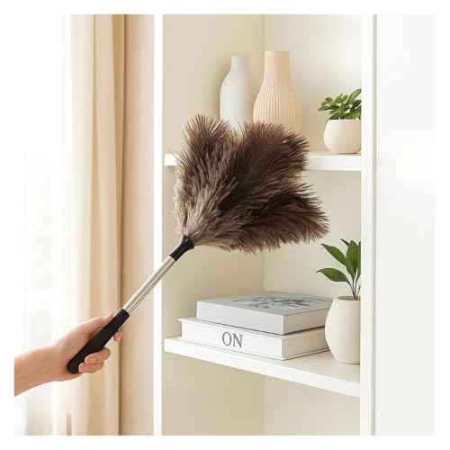 Plumeau en plumes d'autruche doux pour nettoyer les meubles précieux sans rayures