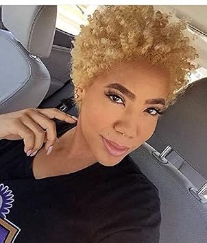 Short Afro Kinky Curly Hair Wigs for Women Short Synthetic Wigs for Black Women Short Curly Hairstyles for Women 9376Blonde