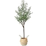 【Simulación realista】 Este árbol artificial de alta calidad presenta una estructura y un estilo realistas. Los troncos naturales lo hacen muy realista, la mayoría no sabrá que no es real. La textura clara y el color uniforme de las hojas son vívidos, realmente imita el aspecto de un olivo real. Las hojas se pueden ajustar a diferentes ángulos para dar forma al look más encantador.