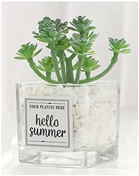 Amazon Lucky He ミニ 多肉植物 人工観葉植物 フェイクグリーン 卓上 インテリア装飾 多肉植物 八千棵 人工観葉植物 オンライン通販