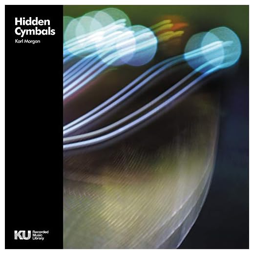 Hidden Cymbals (Bass & Drum Library)