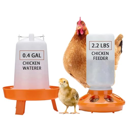 chicken waterers hanging