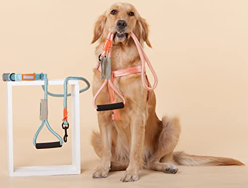 touchdog ® \'Macaron\' 2-in-1 Durable Nylon Dog Harness and Leash - Thumbnail 6