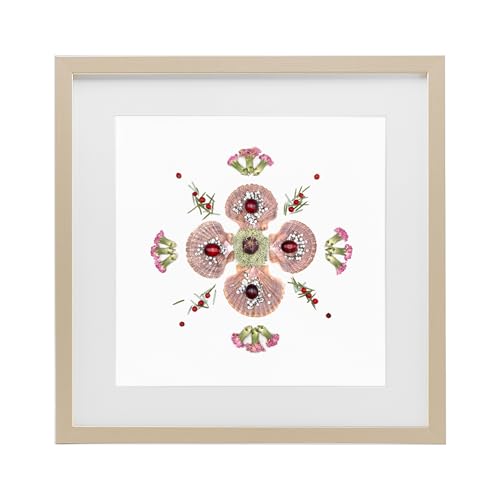 'Clam Shells & Botanicals Pattern'| Framed Print Under Glass