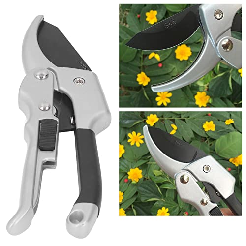 Tesoura de galho, tesoura de poda lâmina pontiaguda, economia de trabalho à prova de ferrugem para p