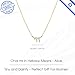 Made In Israel 14K Gold Plated Tiny Chai Zircons Pendent Necklace Blessing – Jewish Symbol Pendant from Israel Gold Color Shabbat Gift Israel (Gold)