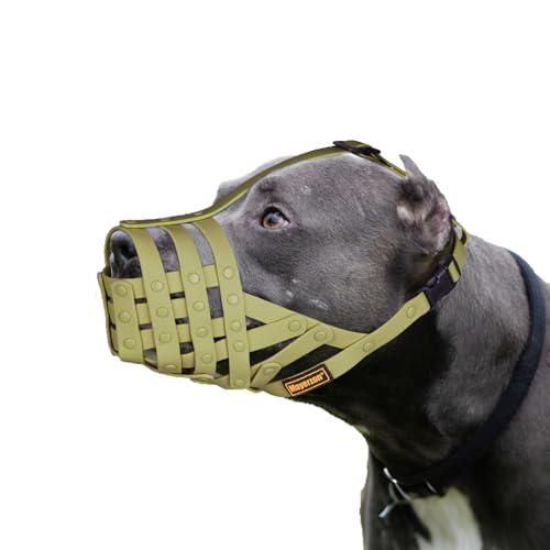 Image of Green Basket Muzzle for Large Dogs Pitbull