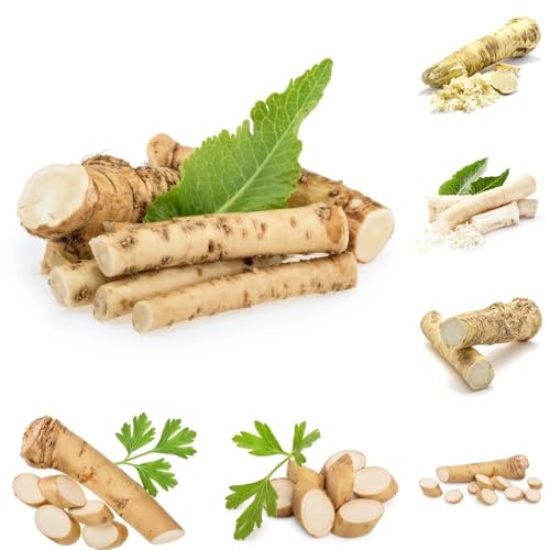 Semi di rafano resistenti, vecchie varietà da cucina selvatiche semi di prodotti sostenibili 50pcs