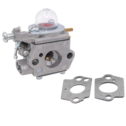 Carburateur WT-973 kit anti-cale pour modèles Remington RM2750 RM4625