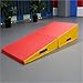 LICOME Portable Folding Incline Mat for Gymnastics, Yoga, Dance Martial Arts Space-Saving, Multi-Use Exercise Equipment for Home & Studio Fitness Training(200x70x45cm)