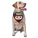 Special Forces Airborne Badge Ranger Tabs Triangle Dog Bandana Scarf Accessories for Pet Bibs