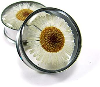 Mystic Metals Body Jewelry Embedded Real Daisy Flower Plugs - Sold As a Pair (7/8" (22mm))