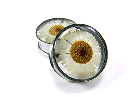 Mystic Metals Body Jewelry Embedded Real Daisy Flower Plugs - Sold As a Pair