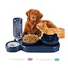 Cuenco para Mascota con Doble tazo y un dispensador de Agua, Antideslizante, reclinable a 15º, para Perros pequeños y Gatos: Comedero y Bebedero para tu Mascota. (Incluye Cepillo Dental)