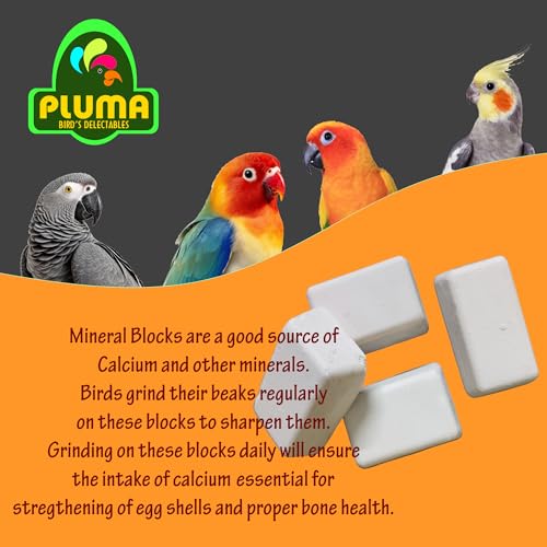 Image of Pluma Bird Food | Natural Calcium Mineral Block for Birds - 4 Pieces (250 g) | Calcium for Budgies, Parakeets, Conures, Macaws, African Grey, Cockatiels, Parrots| for Adult & Self Feeding Birds.